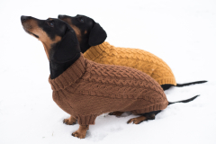Novita 7 Veljestä: Cabled dog sweater- Nur auf English